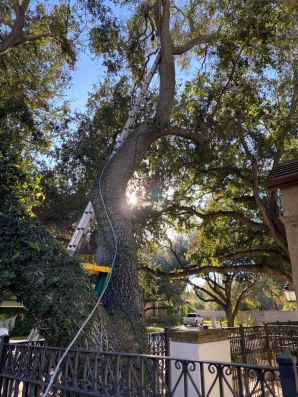 Lightning Protection System Installation in Dallas, Texas (2)